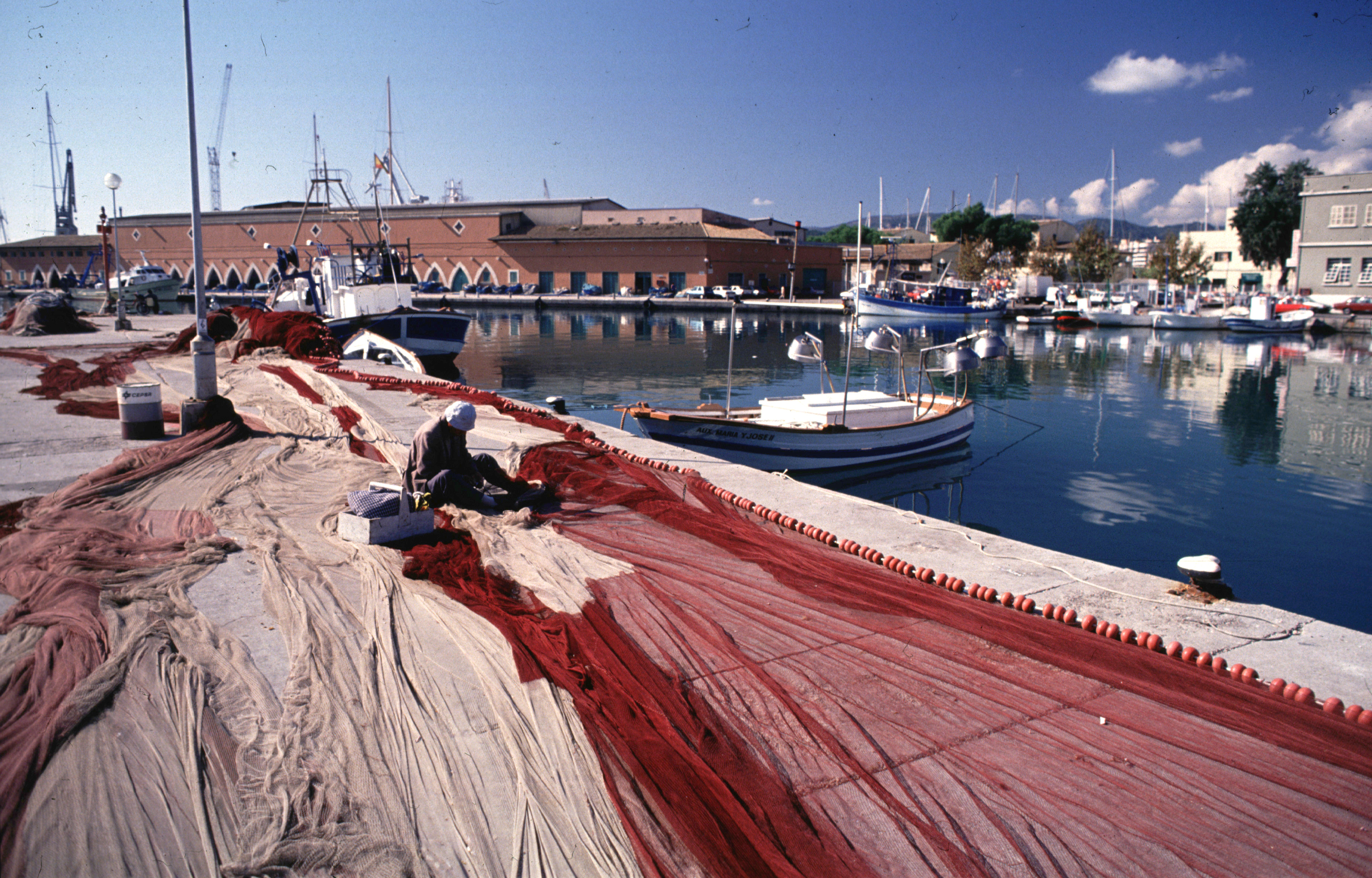 Die Verwaltung des Fischmarktes in der Contramuelle-Mollet im Hafen von Palma wird ausgeschrieben
