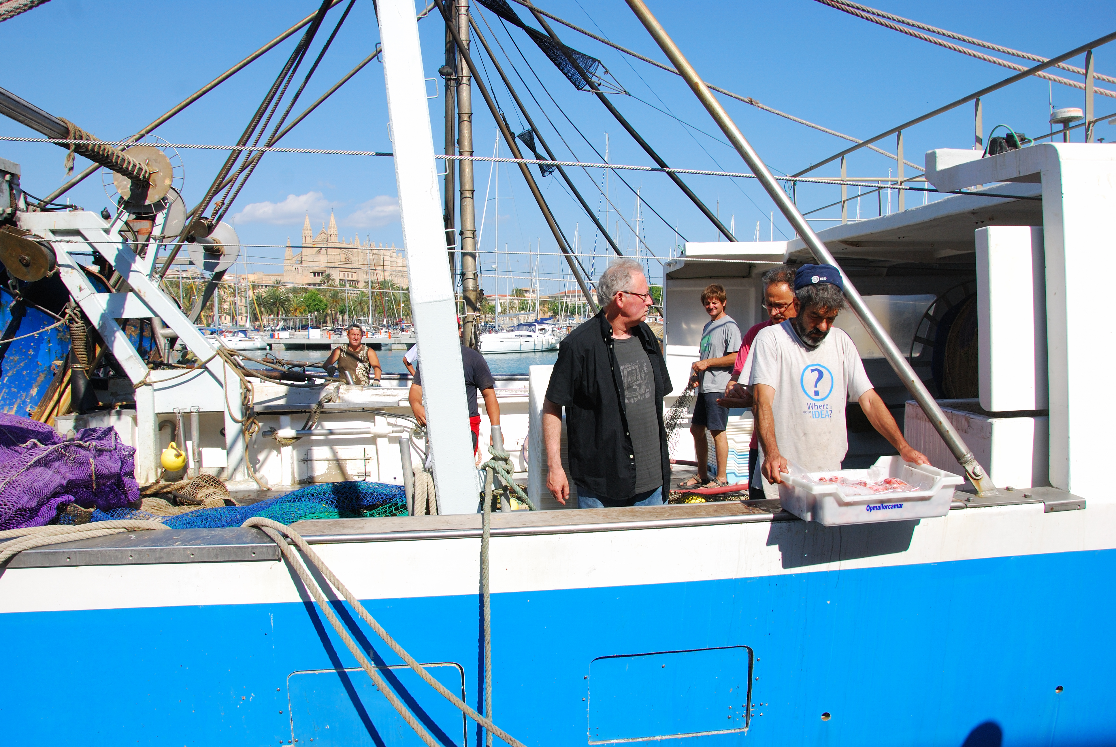 Professional fishing in the ports of the Balearic Islands