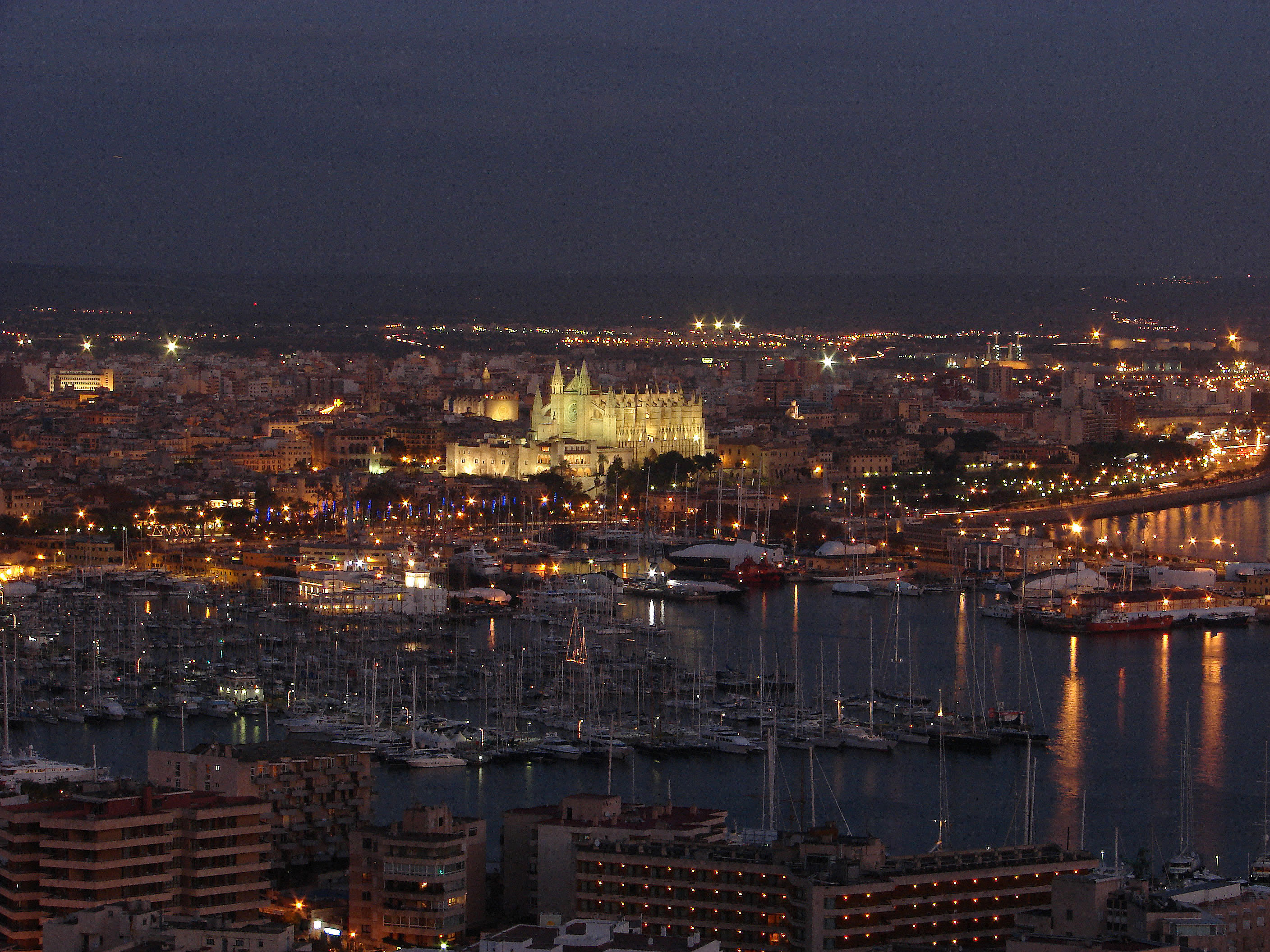 Die APB führt eine Ausschreibung zur Verbesserung der Energieeffizienz der Straßenbeleuchtung im Hafen von Palma durch