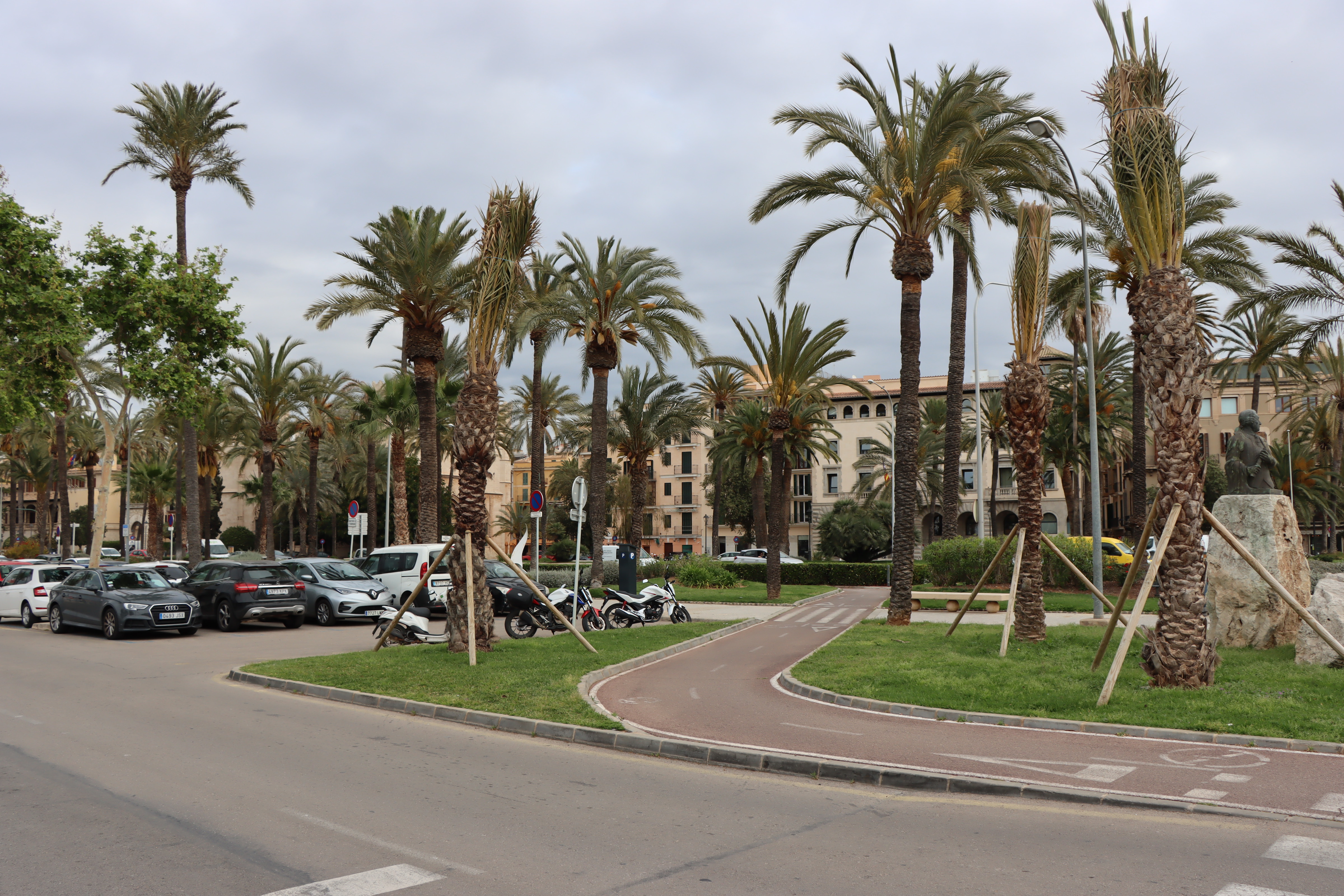 Die APB wird etwa 20 strukturell gefährdete Palmen im Hafen von Palma umpflanzen