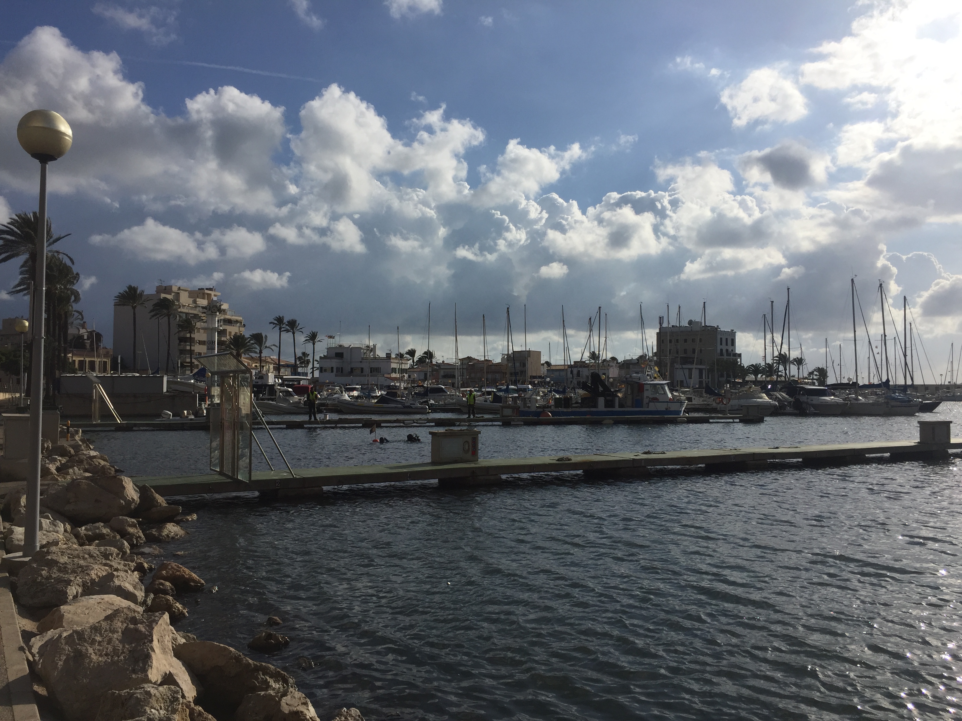 The APB adapts direct management berths at the Port of Palma