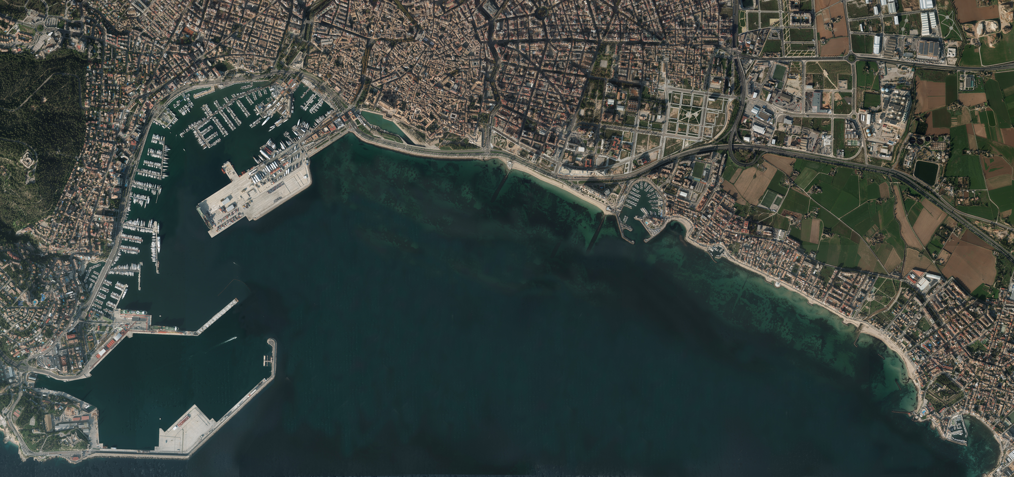 Die Hafenbehörde der Balearen und IMEDIA untersuchen die Biodiversität des Meeresbodens im Hafen von Palma