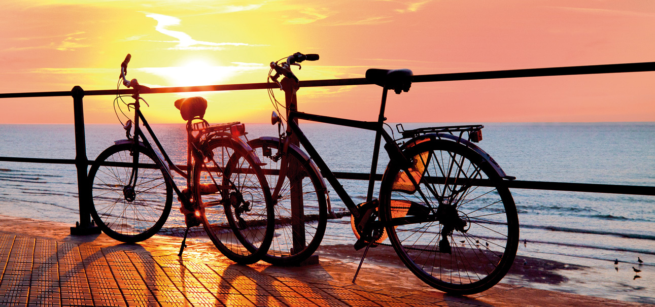 El port de Palma ofereix un servei de bicicletes als creueristes