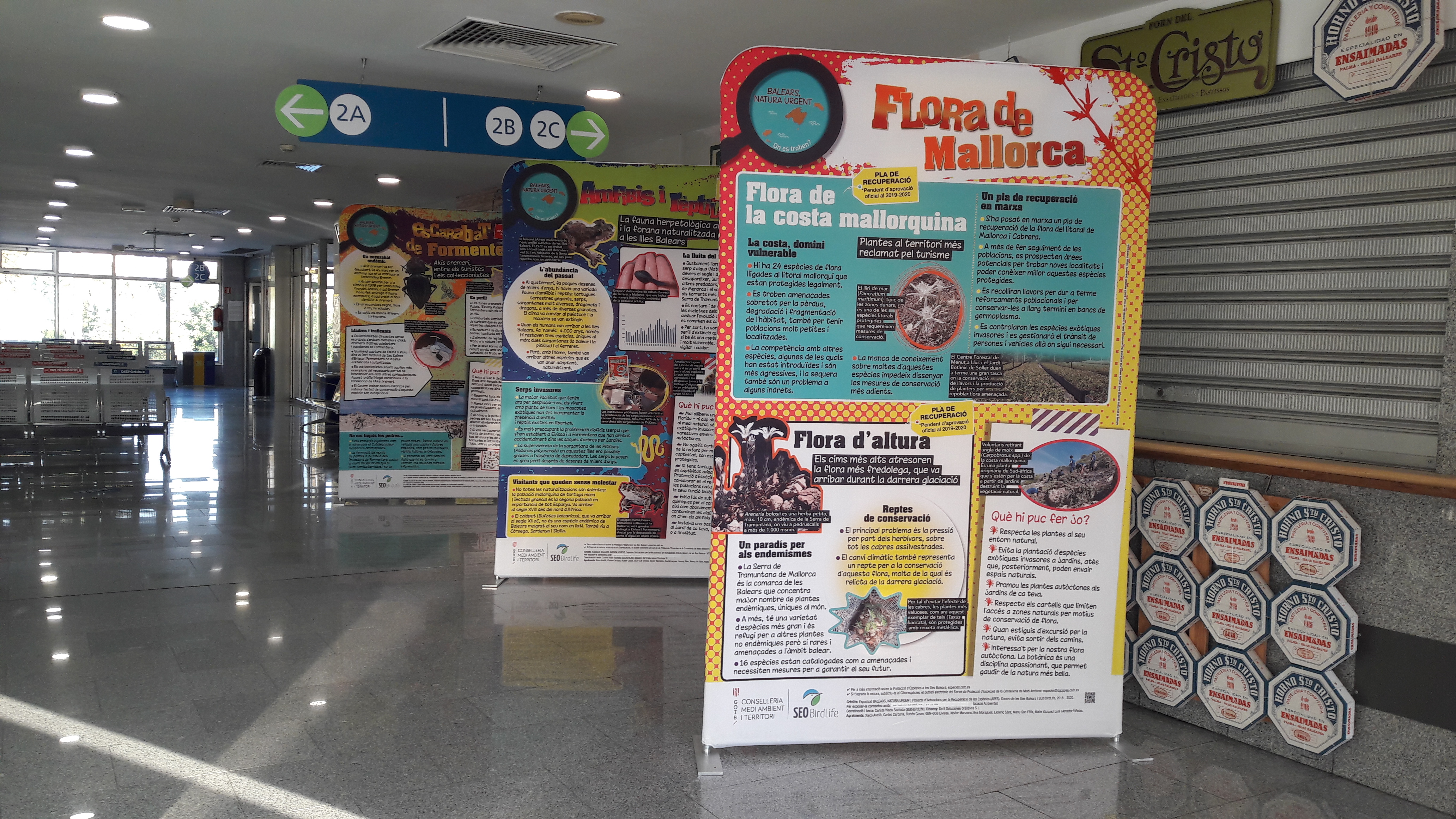 La Estación Marítima nº 2 del puerto de Palma acogerá una exposición sobre fauna y flora amenazada de Baleares hasta el 19 de octubre