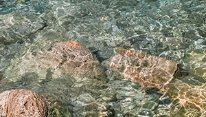 Transparenzportal