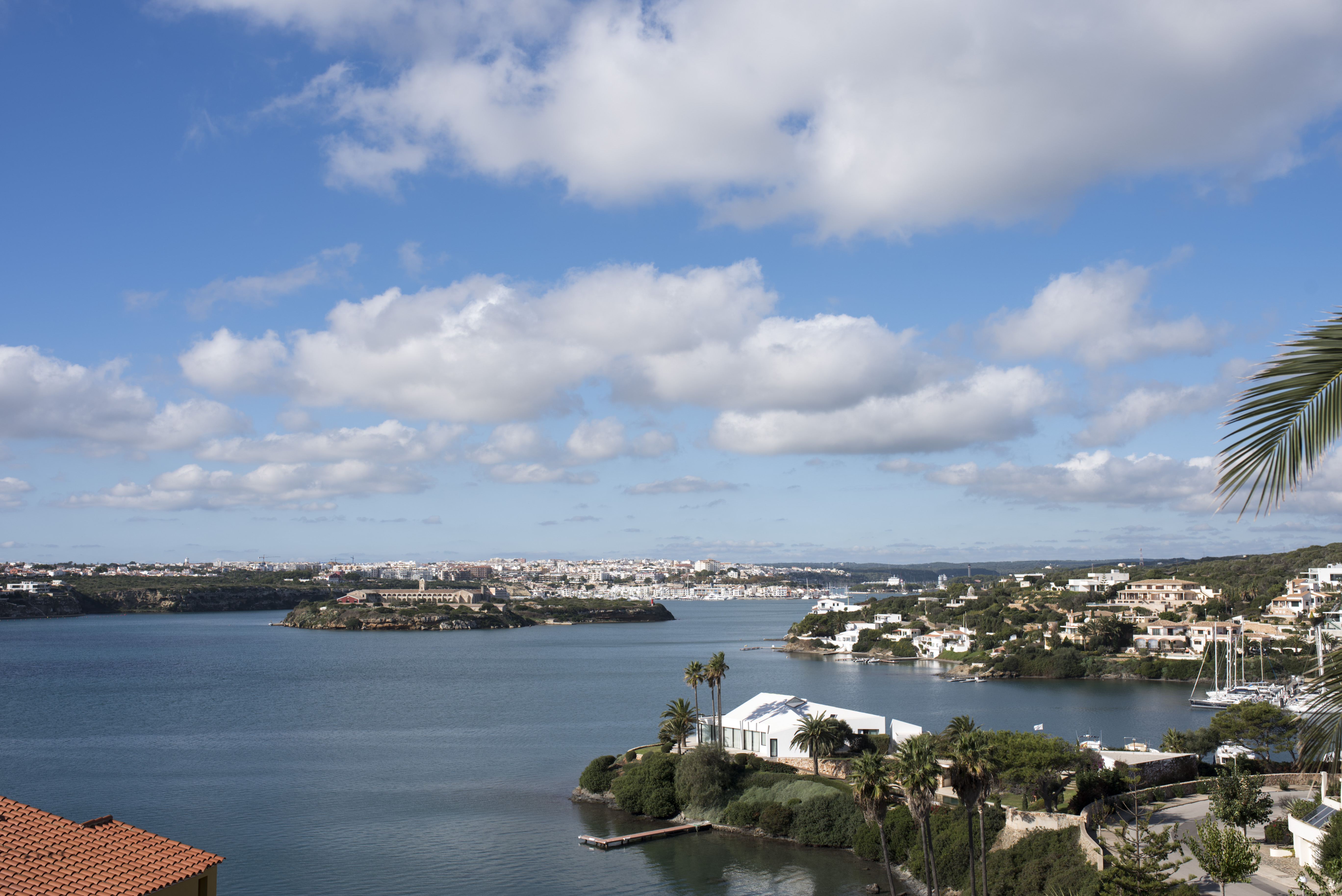 Contracts awarded for the maintenance service for trees, palm trees, gardening and cliffs in the port of Maó