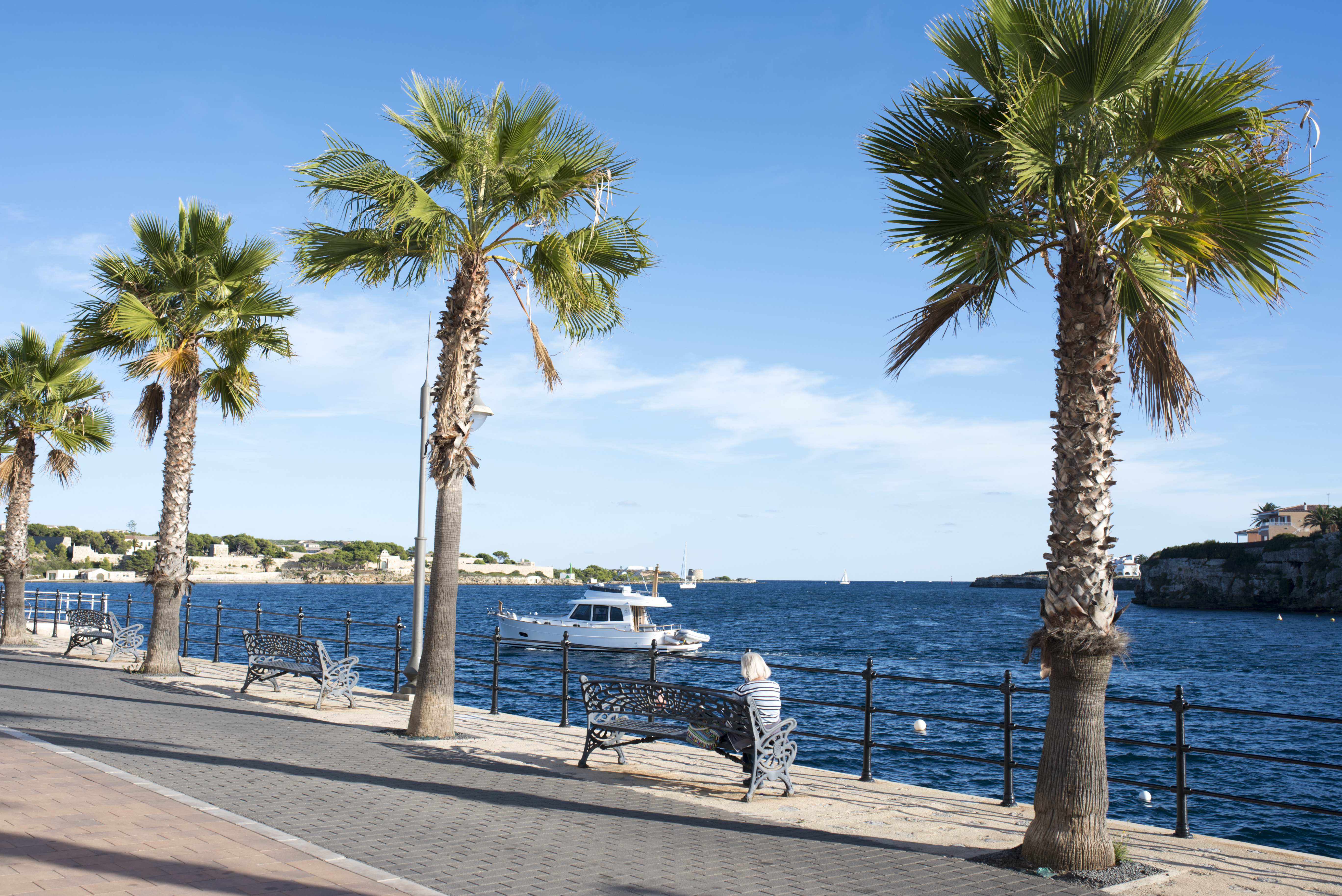 Adjudicado el servicio de mantenimiento de arbolado, palmeras, jardinería y acantilados en el puerto de Maó