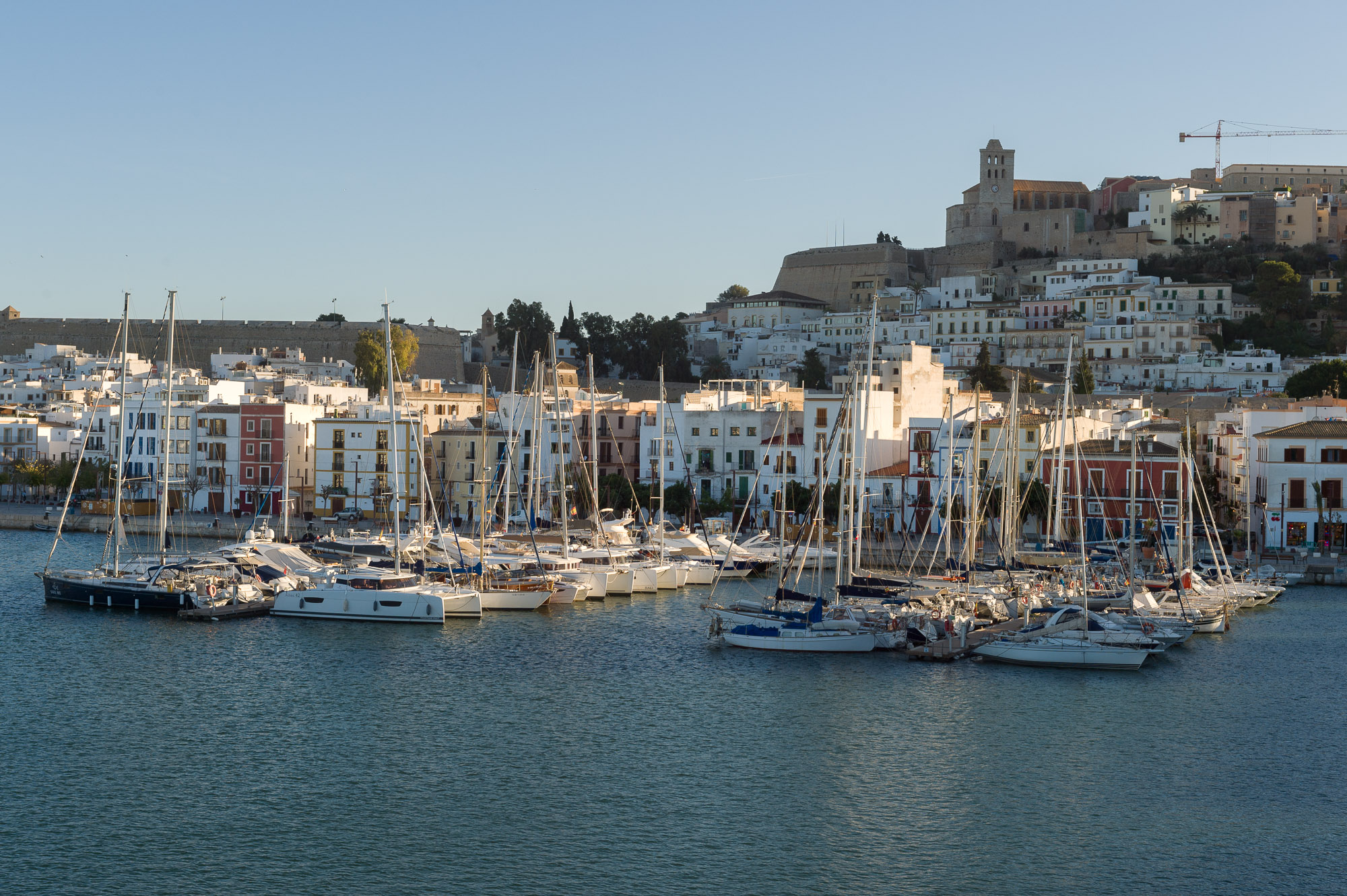 Tanit Ibiza Port continuará con la gestión de los amarres de la dársena de Poniente del puerto de Eivissa