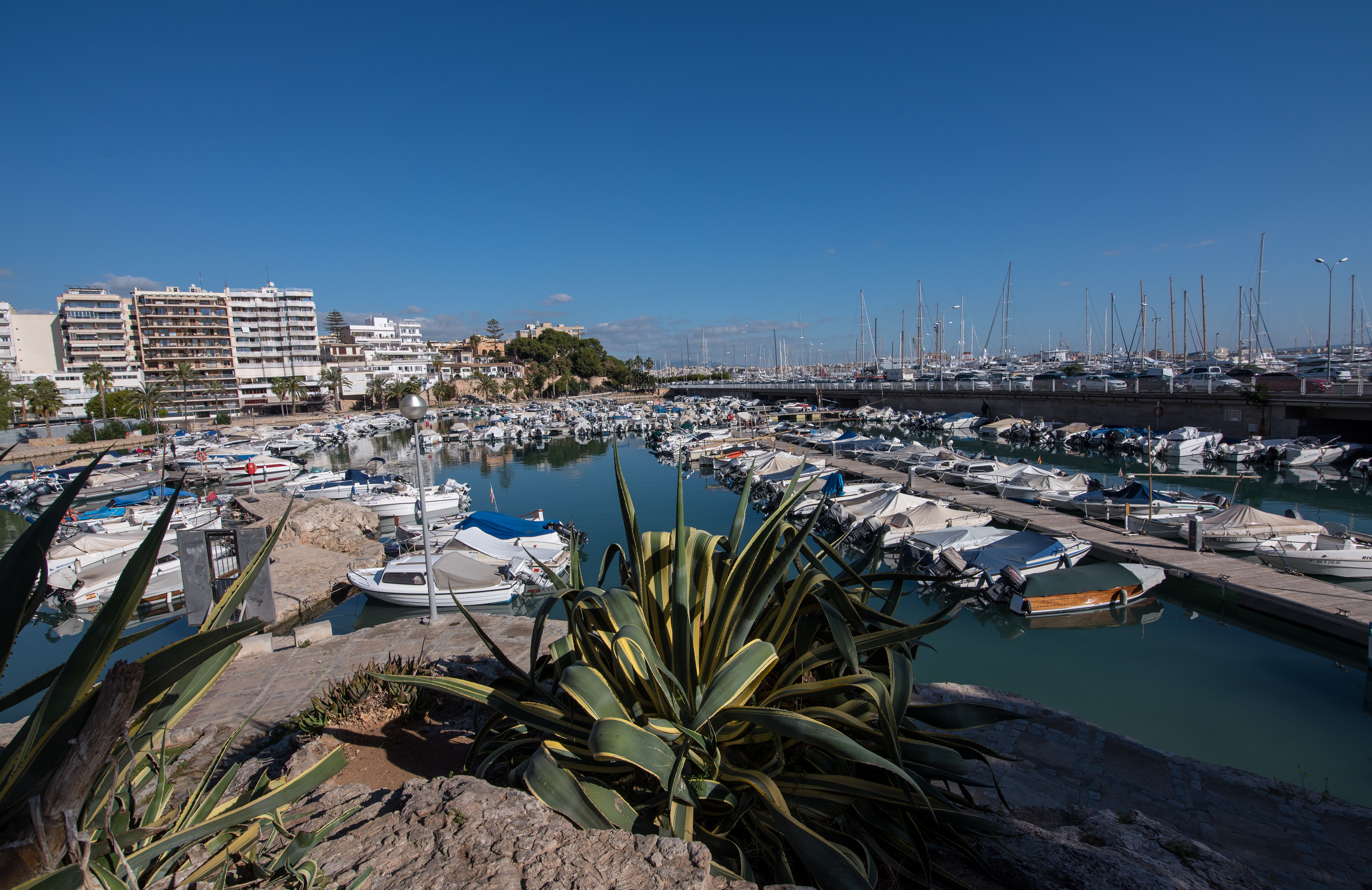 Un projecte mediambiental promogut per l'APB, seleccionat en la convocatòria d'ajudes Fons "Ports 4.0"