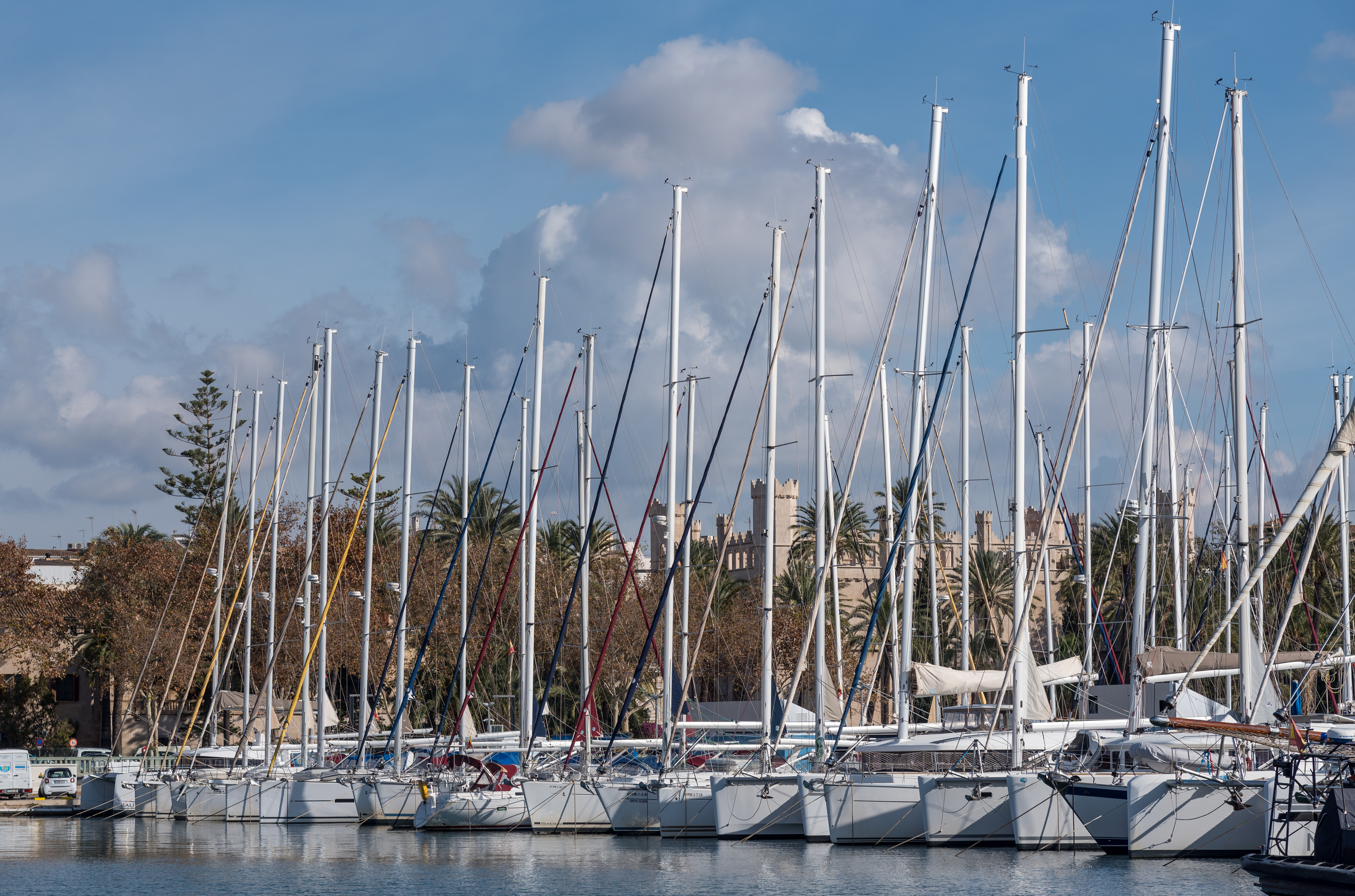 La APB exige importantes medidas ambientales en la nueva concesión del muelle de la Lonja del puerto de Palma