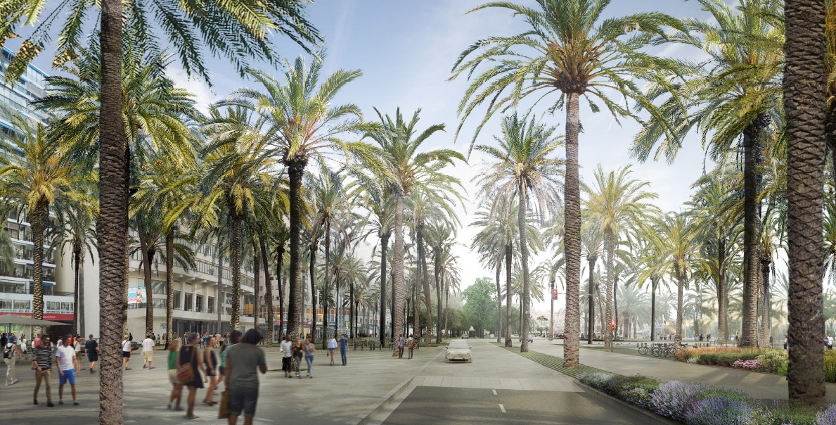 Decision to sign the management agreement for the seaside promenade of Palma