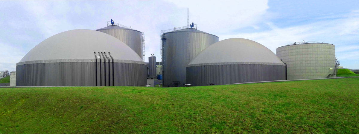 El Biogás, posible solución para descarbonizar el transporte marítimo