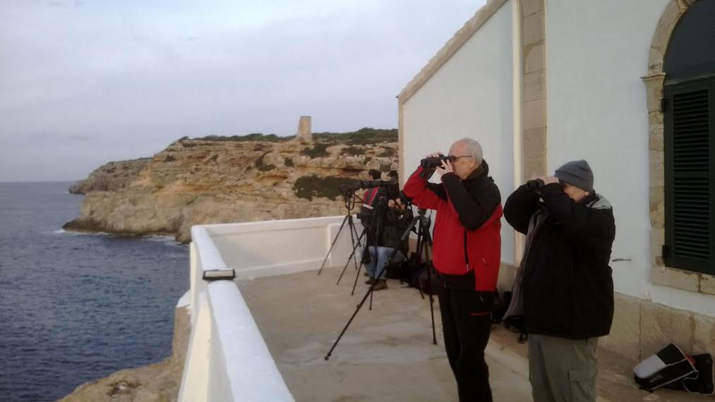 Der Leuchtturm von Cala Figuera, Vogelwar-te