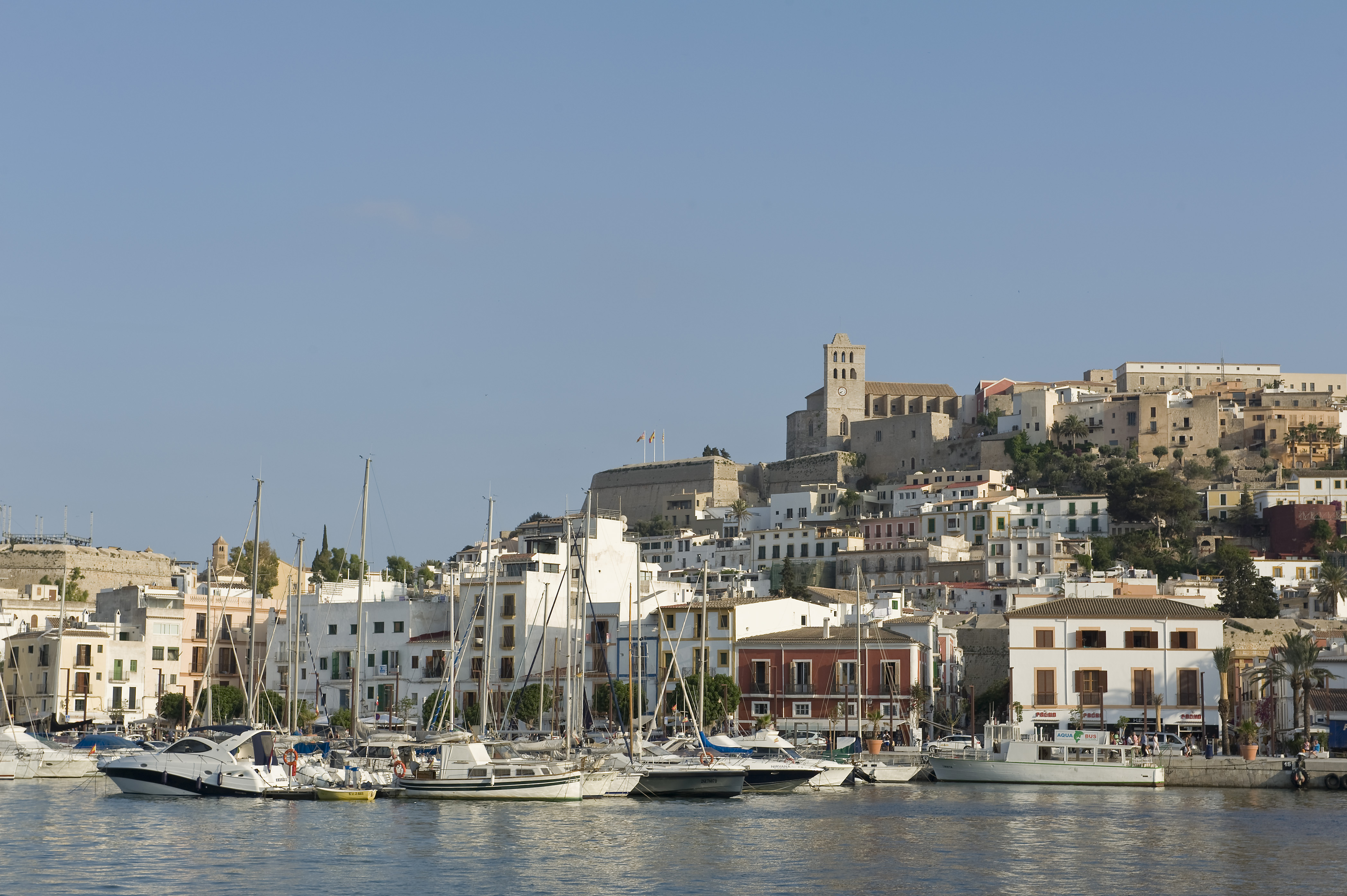 Ocibar continuarà amb la gestió dels amarraments de la dàrsena de Ponent d'Eivissa 