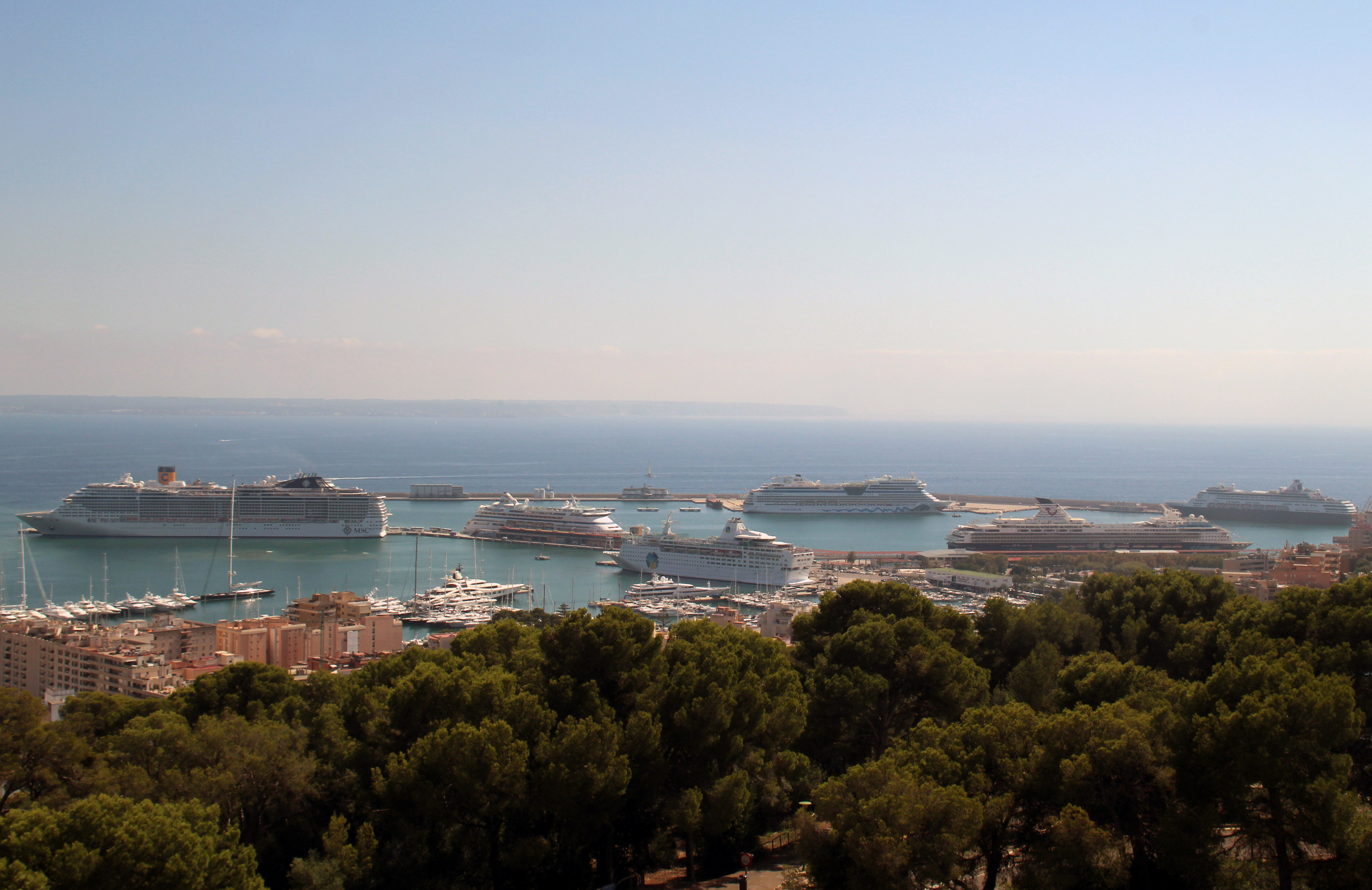 7 cruise ships in Palma’s port