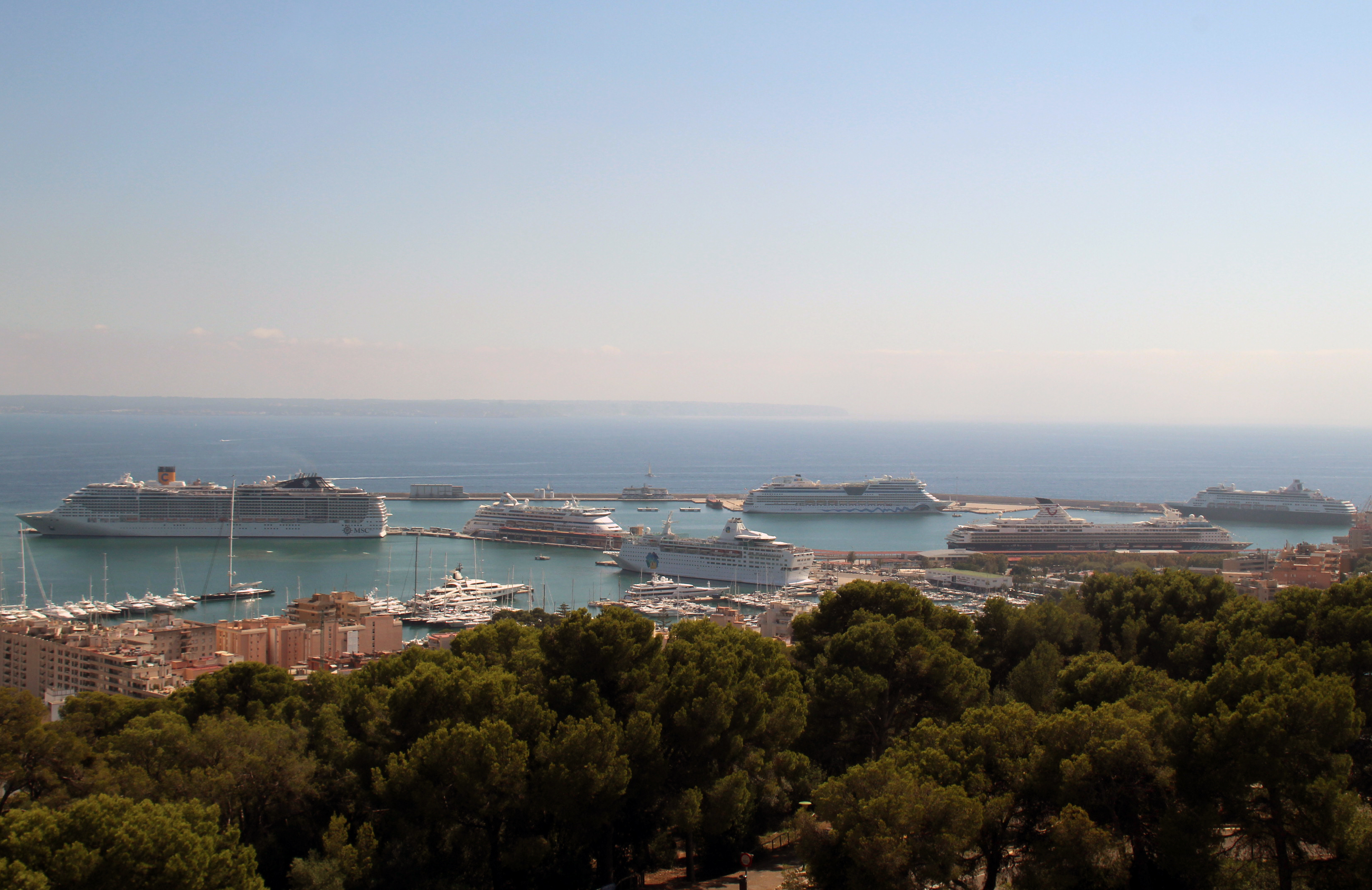 Siete cruceros en el puerto de Palma