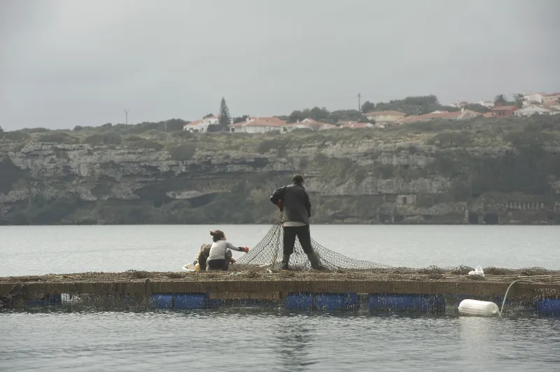 Puerto de Mao