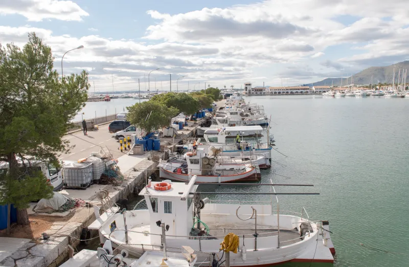 Puerto de Alcudia