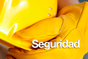 Seguridad